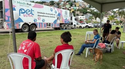 Serviços gratuitos para cães e gatos chega a Cachoeiro de Itapemirim