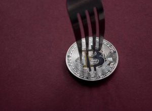 O mercado de Bitcoin (BTC) está se dividindo em dois. Aqui está quem está comprando e vendendo em meio à guerra