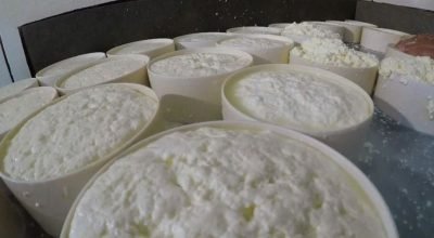 Produtores de queijo apostam em cooperativa para ganhar mercado no ES | Agronegócios no Espírito Santo