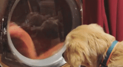 Sinais que sua máquina de lavar precisa de limpeza