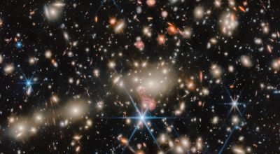 Um grupo de celebridades em destaque