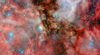 Uma visão vizinha do nascimento estelar