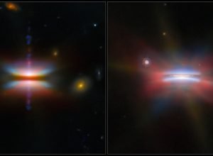 Um par de discos formadores de planetas