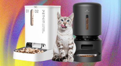 Estes 10 comedouros automáticos para gatos foram os melhores que testamos (2026)