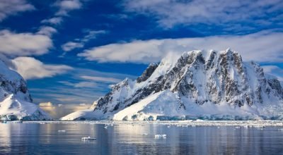 Viagem à Antártica - Portal Drauzio Varella