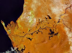 Terra vista do espaço: terra de florestas tropicais