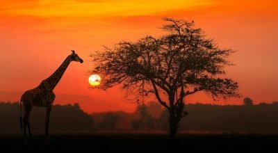 passagens para a África do Sul por R$ 2.827 ida e volta