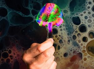 Conheça o cogumelo que faz as pessoas terem exatamente a mesma alucinação