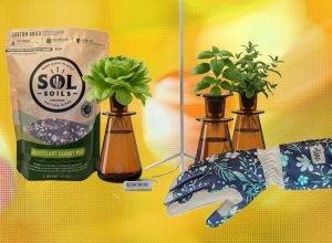 15 melhores presentes para amantes de plantas e jardineiros (2026)