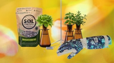 15 melhores presentes para amantes de plantas e jardineiros (2026)