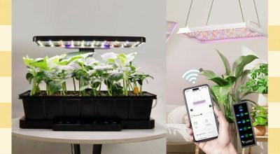 Os melhores presentes de plantas e jardinagem da LetPot (2025)