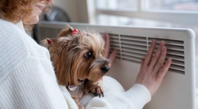 Como se proteger do calor extremo: 7 dicas essenciais para sua saúde