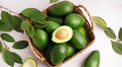 receitas com abacate para o dia a dia