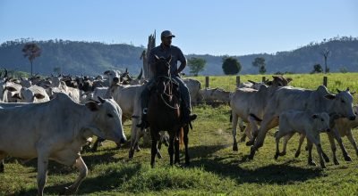 Acordo UE-Mercosul: Parlamento Europeu aprova medidas de proteção mais rígidas para o agro