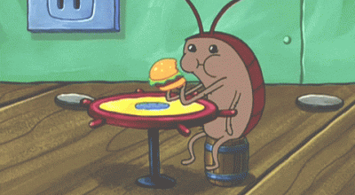 O que atrai baratas? Descubra os alimentos preferidos e como evitá-las em sua casa