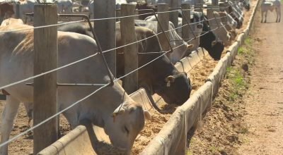 Tempestades com raios são um perigo na zona rural