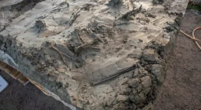 esqueleto de cão e adaga podem estar ligados a ritual da Idade da Pedra na Suécia. Veja essa descoberta!