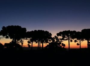 Campos do Jordão! Guia completo para planejar sua viagem!