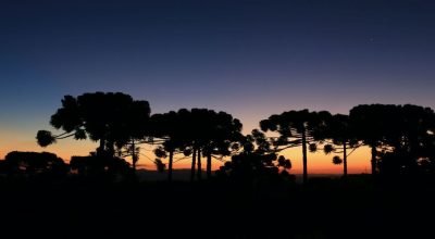 Campos do Jordão! Guia completo para planejar sua viagem!
