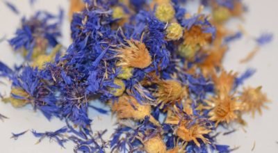 Casa cheirosa: receitas caseiras simples para perfumar o ambiente naturalmente