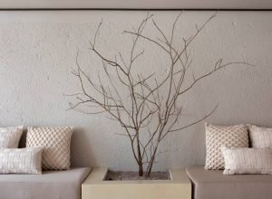 Slow living: bem-estar e calma em casa