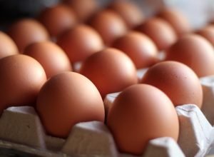 Geladeira vazia? 5 receitas fáceis com ovos que salvam qualquer refeição