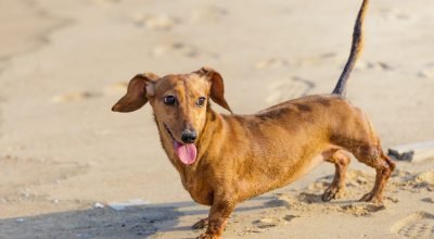 professora da Unesp alerta sobre exposição excessiva ao sol. Veja!