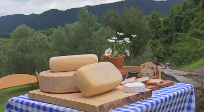 Queijarias artesanais oferecem qualidade e sabores variados na zona rural