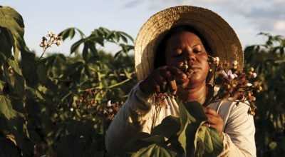 G1 - Fibria lança em Vitória exposição multimídia que une fotos e vídeos em 360º de realidade virtual