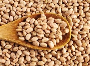 Feijão não cai bem? Veja as alternativas para manter a saúde no prato