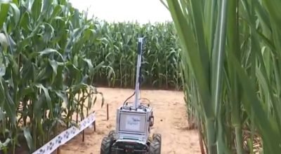 Coplacampo: Protetor solar para frutas e robô com IA em Piracicaba