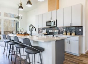 Formigas invadindo a cozinha? Veja como acabar com isso de vez