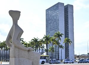 Entidades vão contestar no STF decisão do Congresso Nacional que dificulta aborto legal em crianças