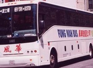 Ayo Edebiri deixa cair uma referência nostálgica ao ônibus Fung Wah em 'Today'