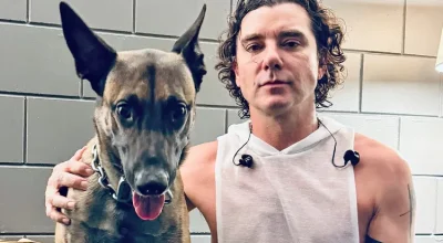 ."você salva uma vida" Gavin Rossdale promove adoção de cães em nova campanha. Veja!