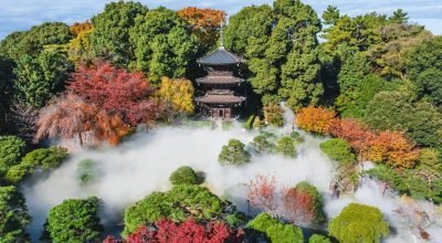 Hotel em Tokyo tem jardim histórico de 700 anos e experiência Shinrin Yoku, o banho de floresta