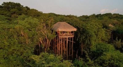 Impressionante! Hotel na Amazônia tem bangalôs sobre o Rio!