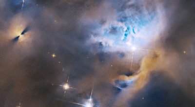 Hubble captura um zoológico de jovens objetos estelares