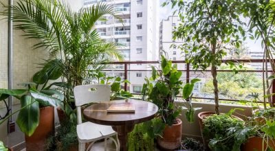 Plantas para sacada ensolarada: transforme sua varanda em um oásis verde