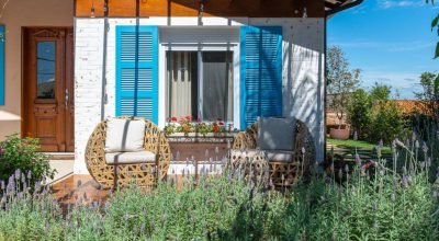 Tendência: como criar jardins sensoriais