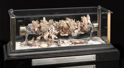 O legado dos cabos submarinos