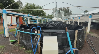 Excesso de chuva pode causar prejuízos na piscicultura