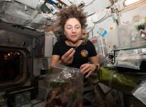 Pesquisa nutricional chega a bordo da estação espacial