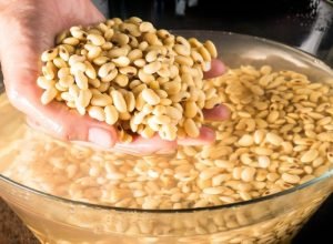 como fazer do jeito certo para não causar gases