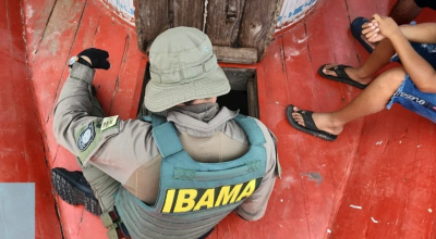 Golpe do falso concurso faz Ibama emitir alerta; entenda o caso e veja como se proteger