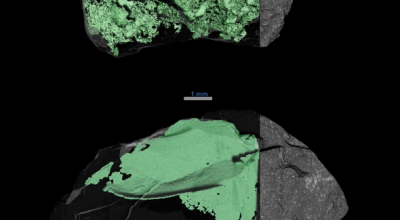 Resolvendo os mistérios do asteróide Bennu - NASA