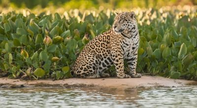 9 destinos perfeitos para visitar na estação!