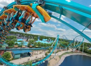 🎢 Flórida! Voos para Orlando ou Tampa a partir de R$ 2.488 ida e volta saindo do Rio de Janeiro e mais cidades!