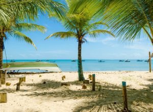 Muito bom! Voos para Bahia a partir de R$ 352 saindo do Rio de Janeiro e mais cidades!