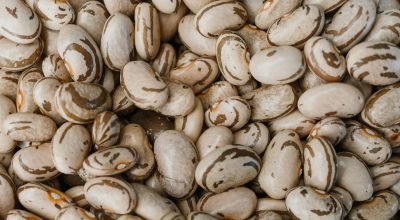 Morre pesquisador 'pai' do feijão Carioquinha